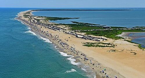 Wild horses roaming on sandy beach at Assateague Island, Maryland and Virginia.