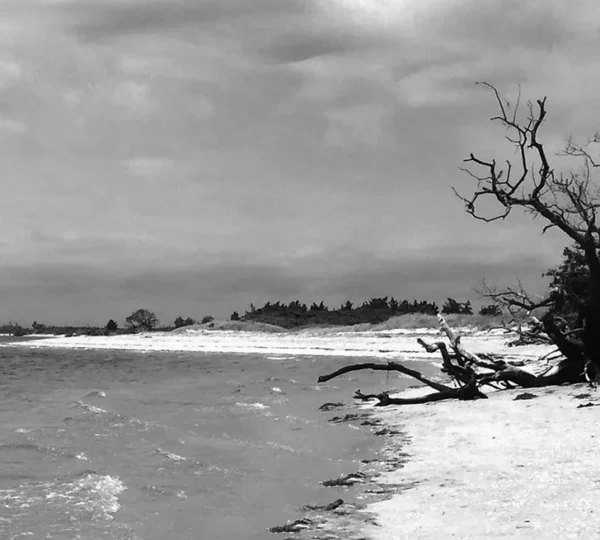  "Serene view of Higbee Beach with sandy dunes and ocean waves."