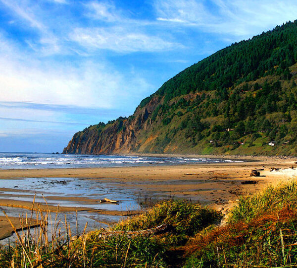 The Haunting of Nehalem Bay State Park