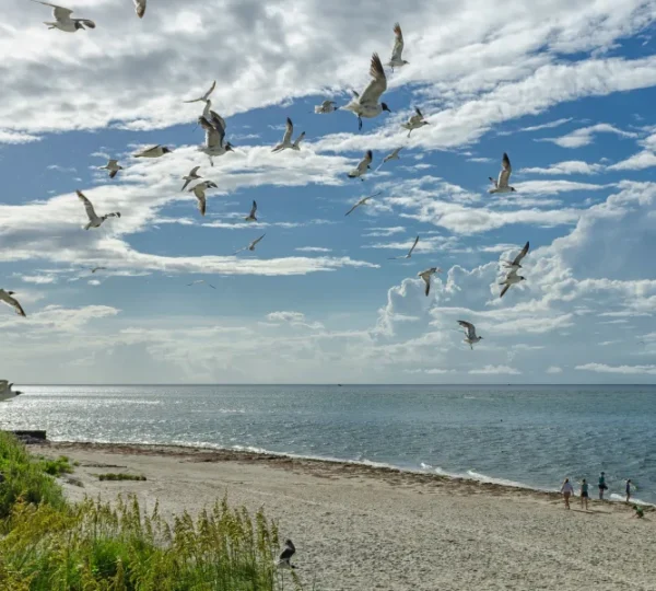 Teach's Hole, Ocracoke Island, North Carolina - Historic pirate hideout.